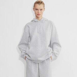 Aritzia TNA Boyfriend Hoodie